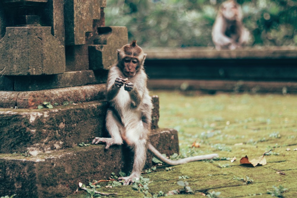 A different side of Bali